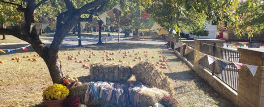 Tailgate Pumpkin Patch