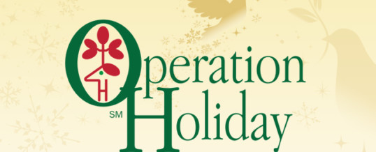 Operation Holiday 2019