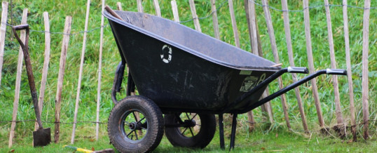 Wheelbarrows and Rakes Needed: Wednesday, April 17