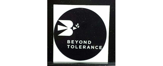 Beyond Tolerance Testimony