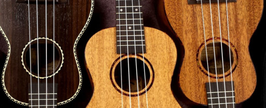 Ukulele Choir at Presbyterian Manor – April 29