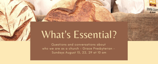 What’s Essential? Questions and Conversations: August 15, 22, 29